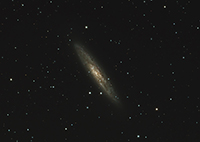 NGC253
